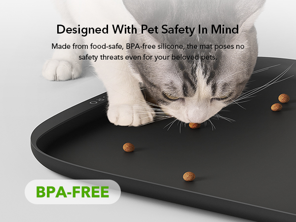 BPA-free Silicone