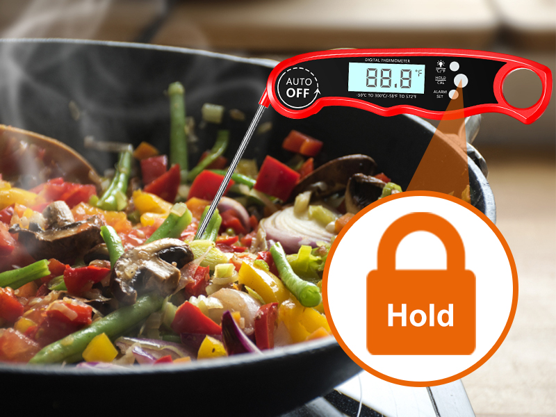Meat Thermometer