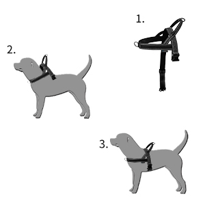 easy to wear dog harness