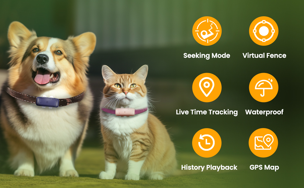 cat tracker
