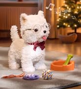 Walking Dog Toy with Leash