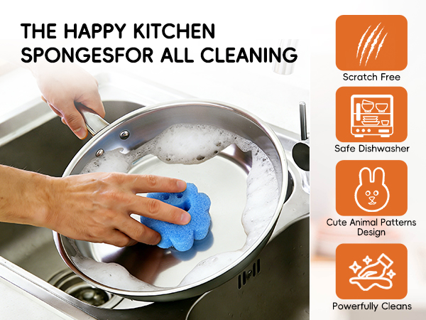 Kitchen Sponges