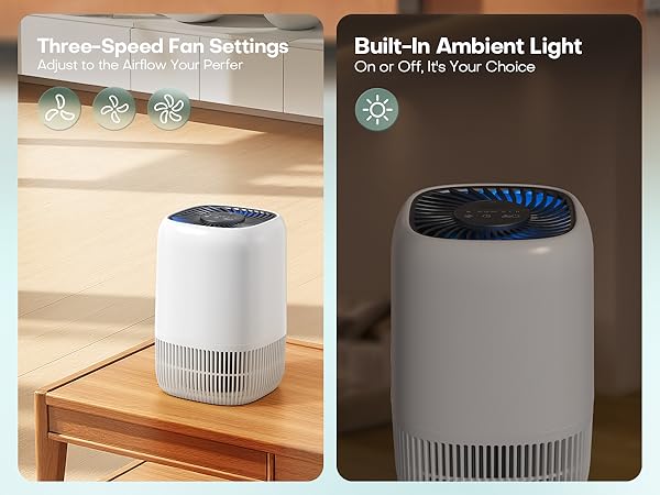 Air Purifiers Home H13 True HEPA Filter 1076 Ft² Pet Hair Odors Pollen Smoke Aroma Quiet 360°Intake