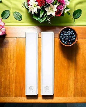 Motion Sensor Light