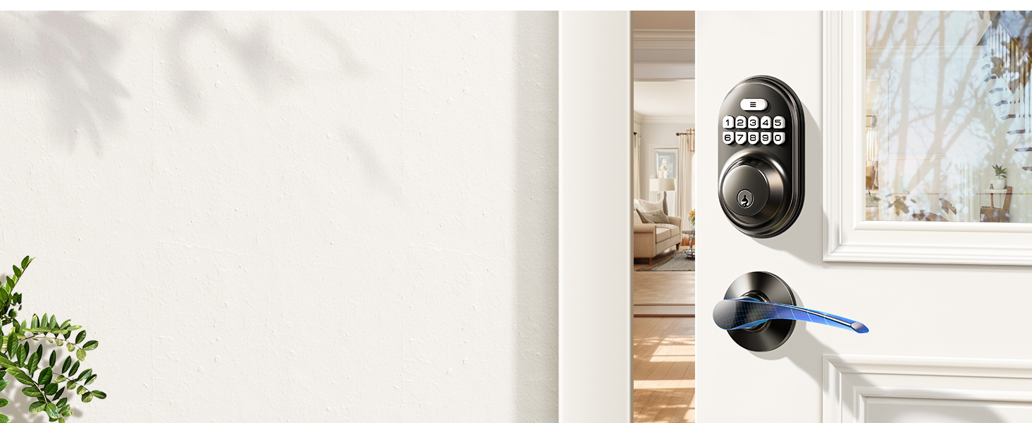 keyless entry door lock with handle 