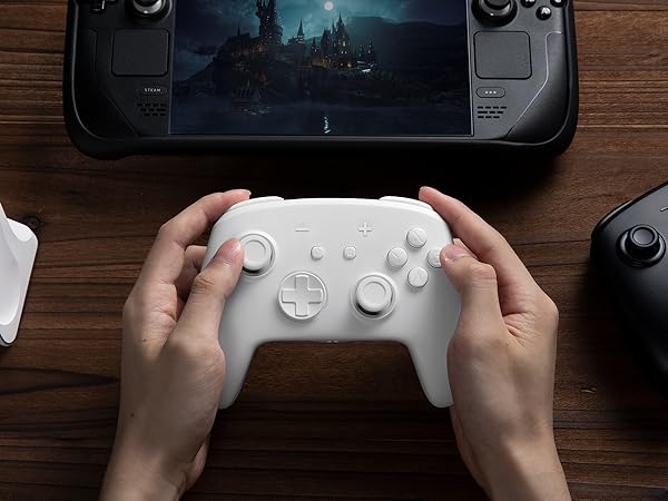 switch pro controller wireless