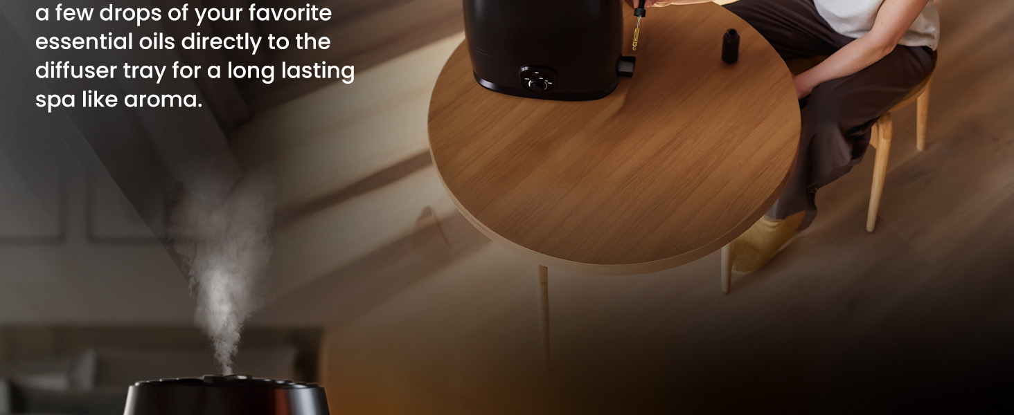 Everlasting Comfort 6L Humidifiers for Bedroom