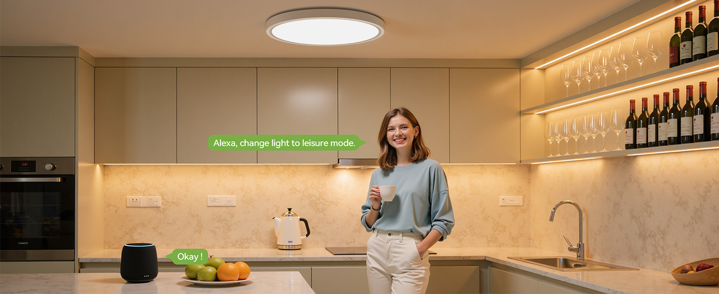 smart ceiling light