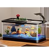 5.3 Gallon Fish Tank, 9 in 1 Betta Fish Tank, Aquarium with LED Full Spectrum 3 Color Light, 3 Mo...
