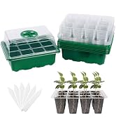 seed starter tray