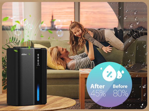 dehumidifier for basement