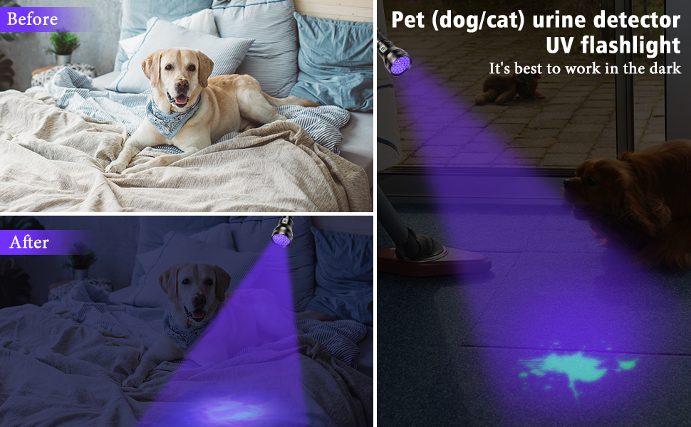 51 led rechargeable uv light flashlight