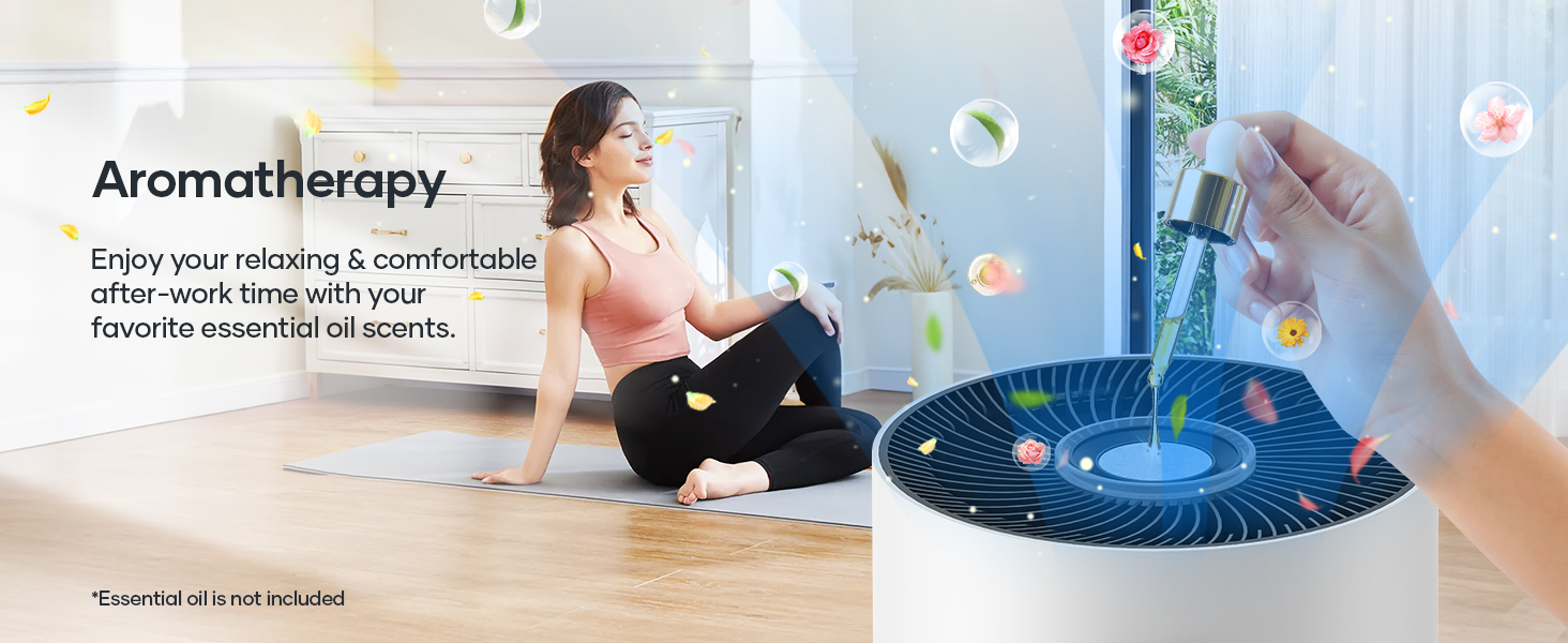 air purifiers with Aromatherapy 