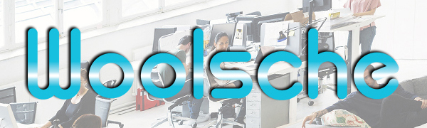 Woolsche paper shredder