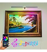 Picture Light RGB Display Lighting - Colorful Wall Art Light with APP Music Sync Multi Dynamic Mo...