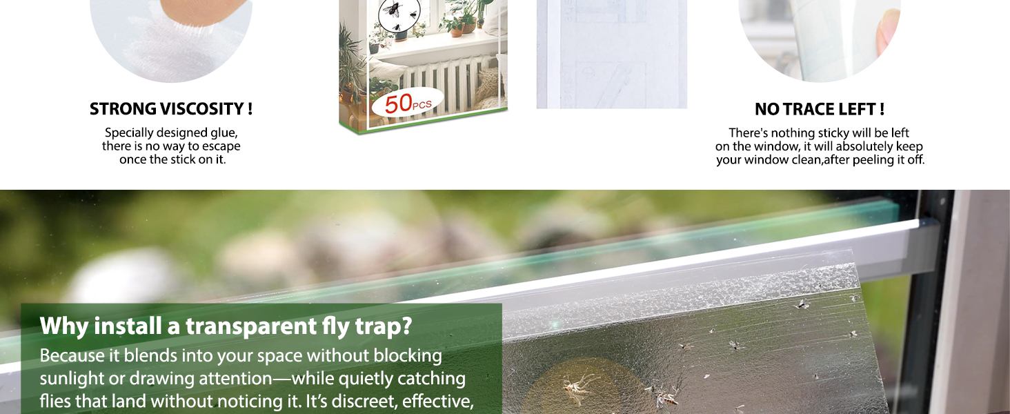 Window fly trap
