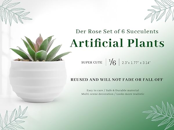 Succulents Plants Artificial in Pots