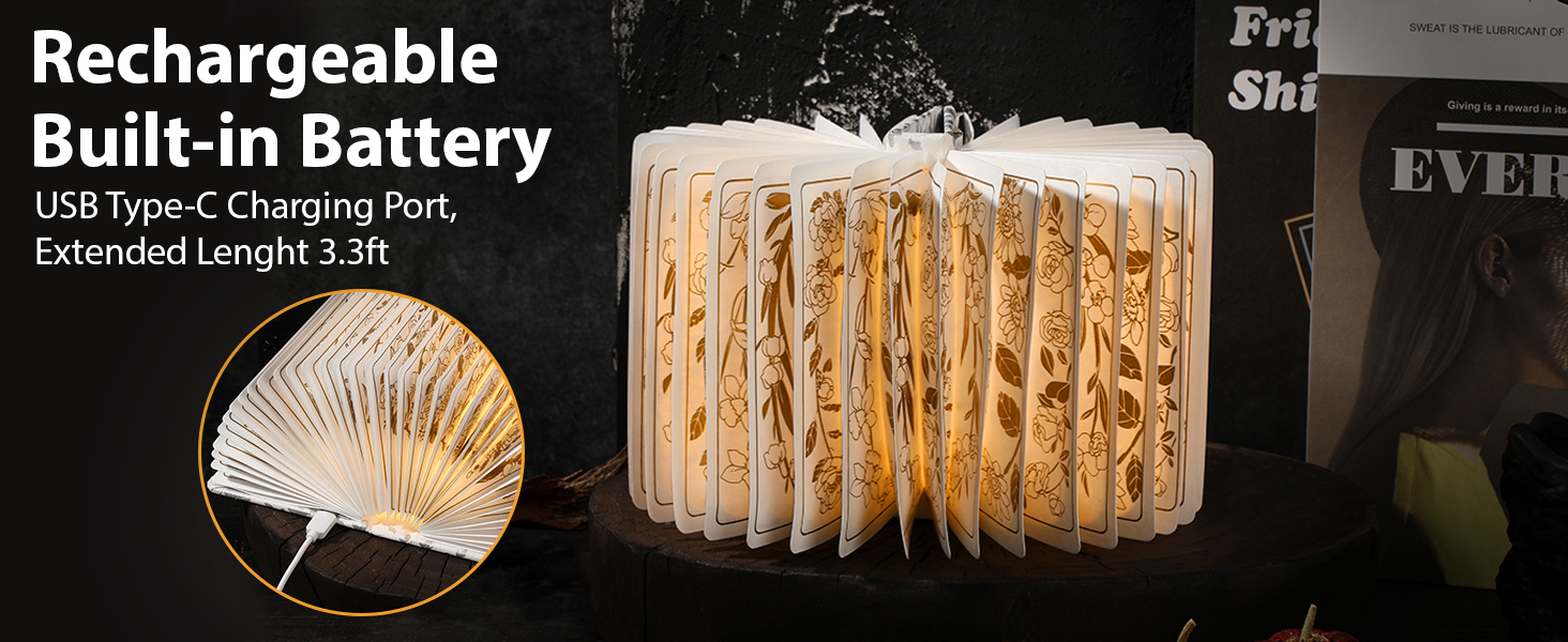 rechargeable book lamp