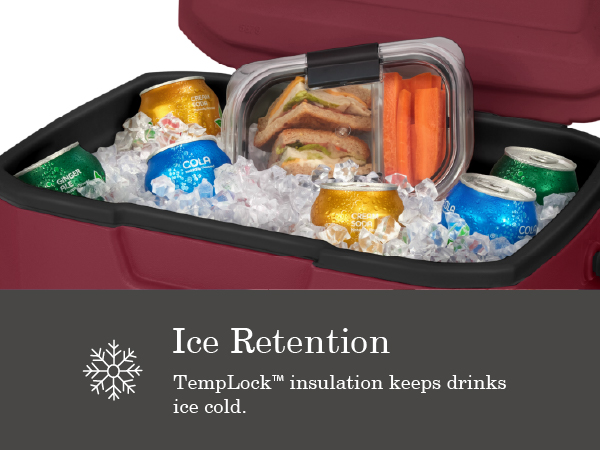 coleman chillers