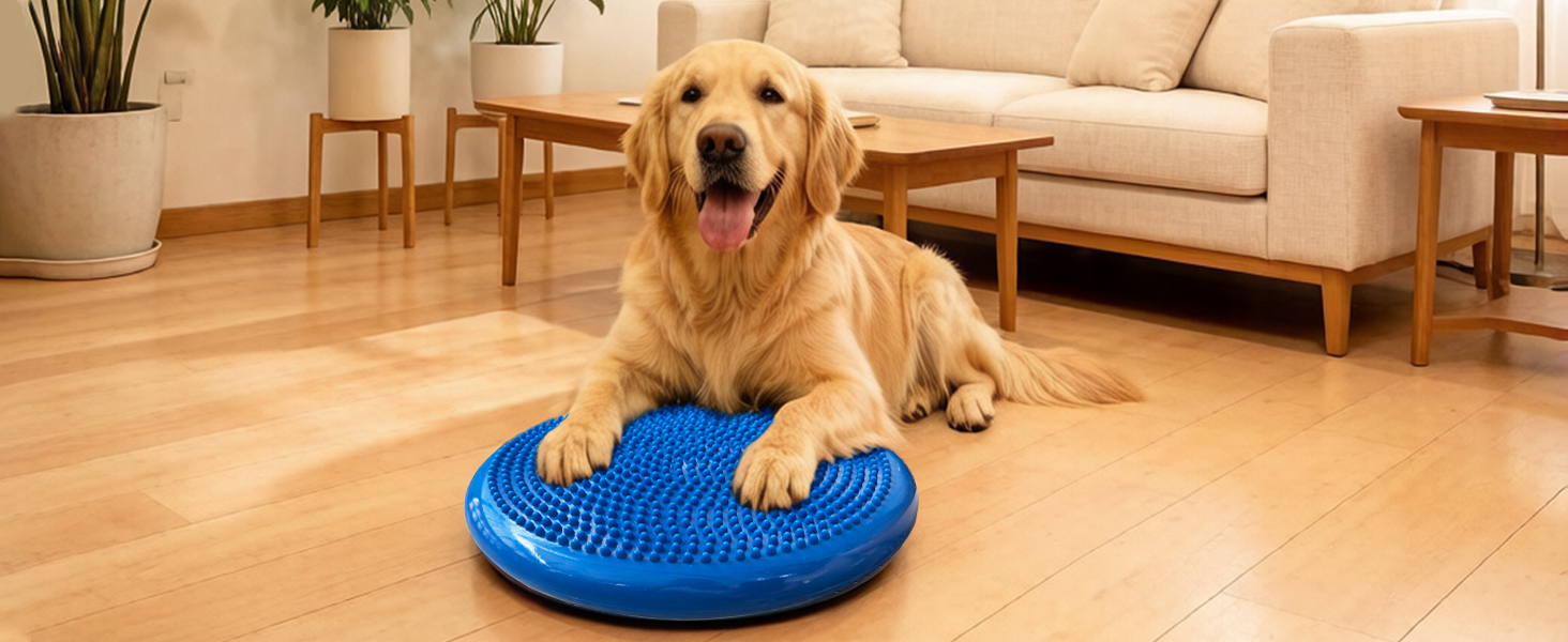 Wobble Cushion with Inflation Pump