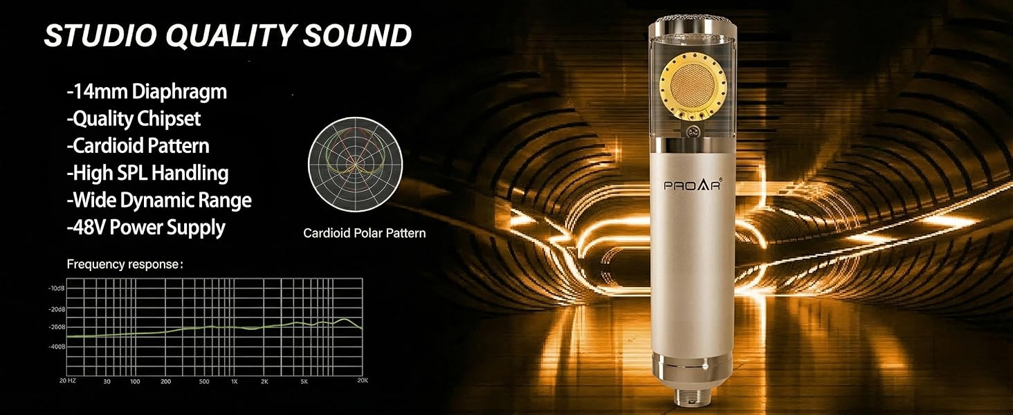 studio microphone