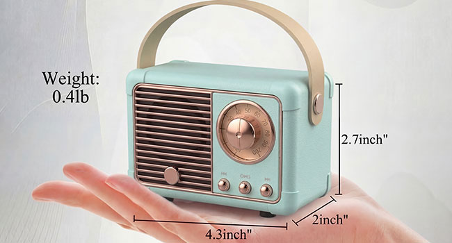 Mini Size But Surprisingly Loud Volume