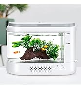 AQQA 1.8 Gallon Multifunction Self-Cleaning Fish Tank,Small Desktop Aquarium Starter Kit,Hidden F...
