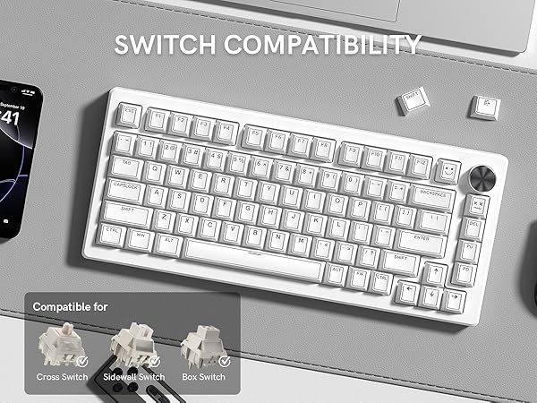 double shot pbt keycaps