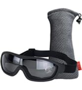 viriber goggles