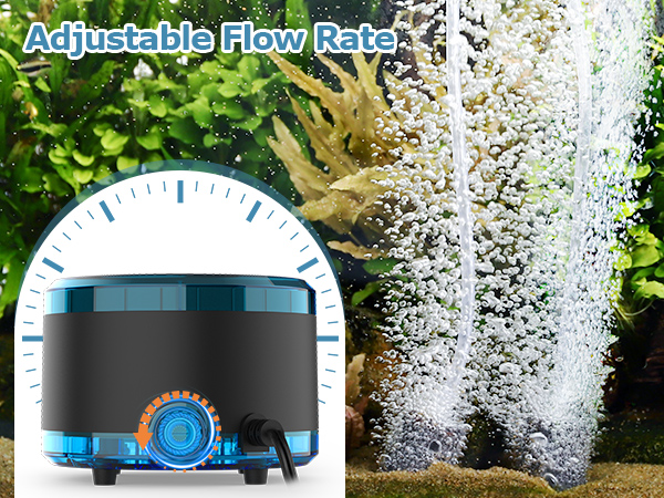 air pump aquarium