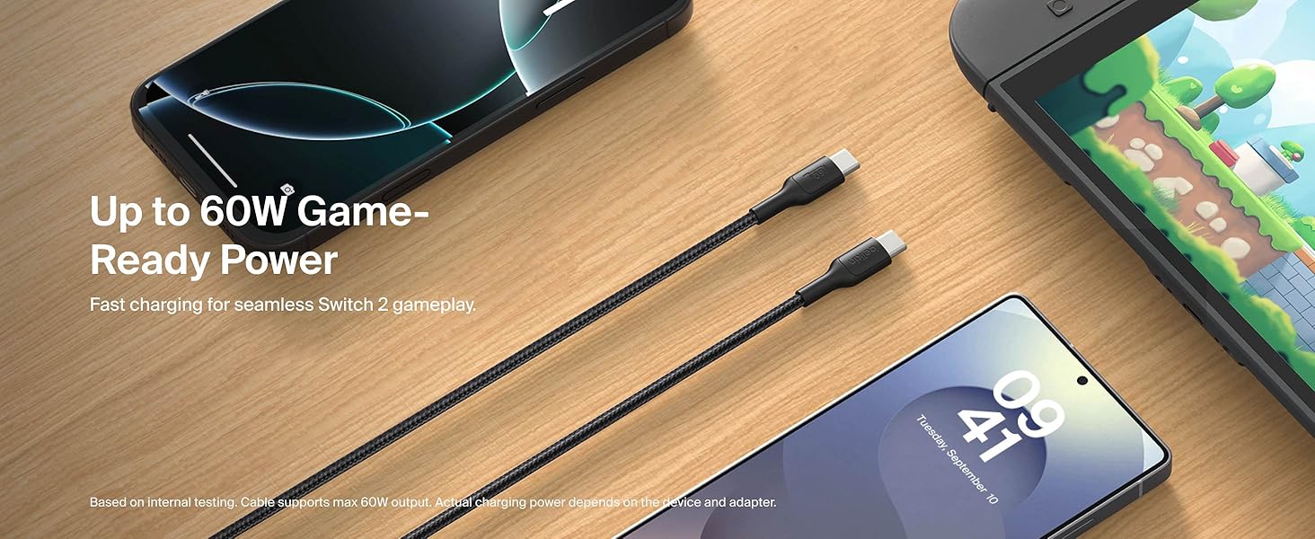Nintendo Switch Charging Cable