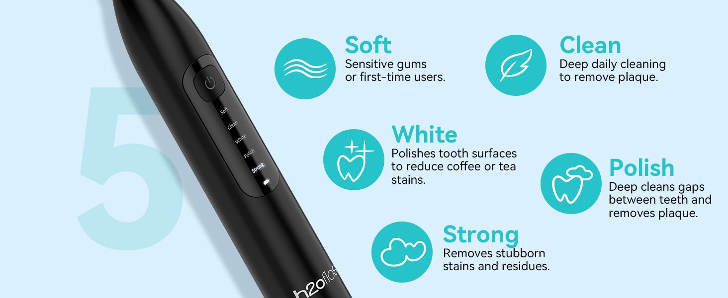 h2ofloss electric toothbrush and water flosser combo