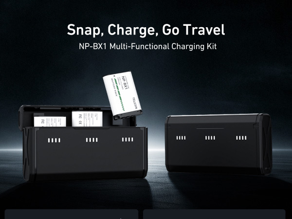 np bx1 battery charger set