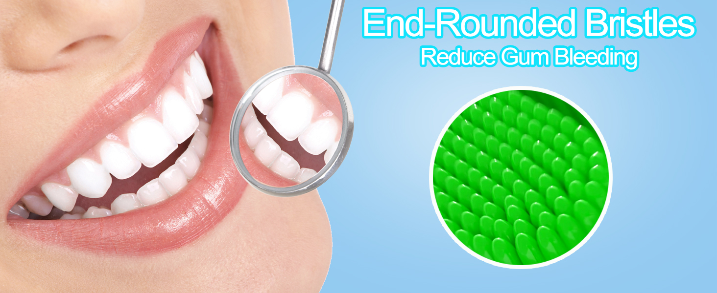 end rounded bristles