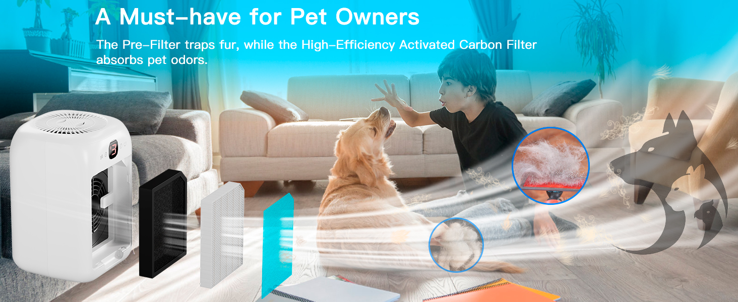 air purifiers for home large room