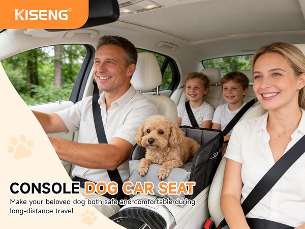 Make your beloved dog both safe and comfortable during long-distance travel