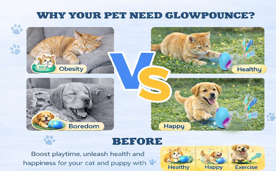 Why Your Pet Need GlowPounce