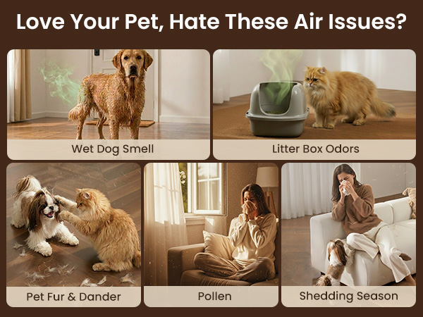 Pet Air Purifier