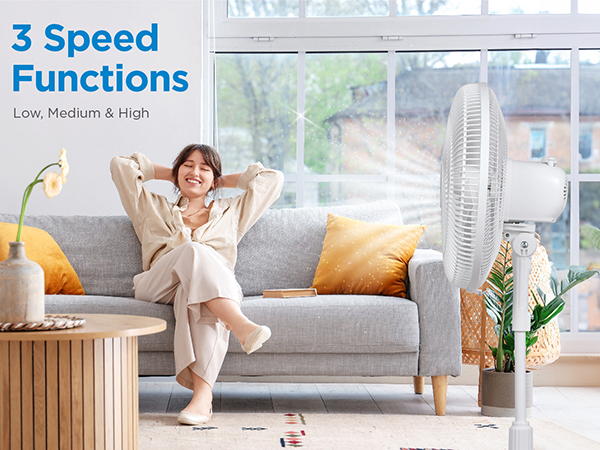 dyson fan honeywell fan tower fan fan oscillating table fann oscillating fann lasko fan box fan