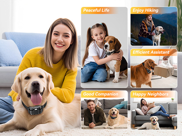 Dog Shock Collar - 12