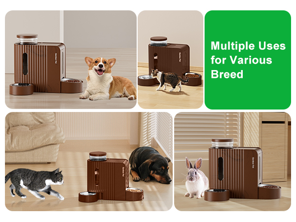 cat food gravity feeder