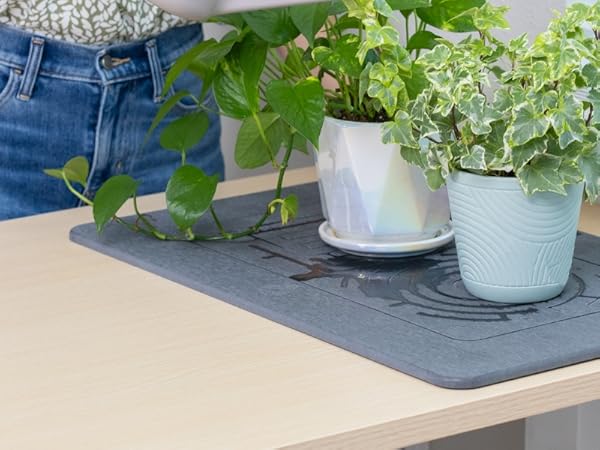 stone mat under plant pot indoor gardening floor protection
