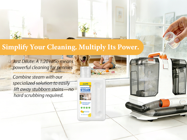 steam mop cleaner