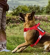 No Pull Tactical Dog Harness