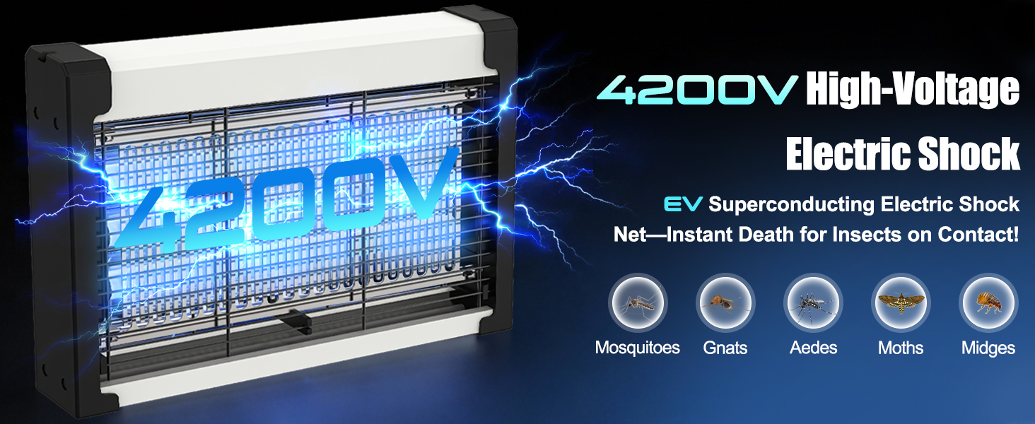 Fly Zapper