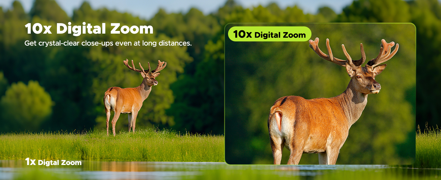 Night Vision Goggles