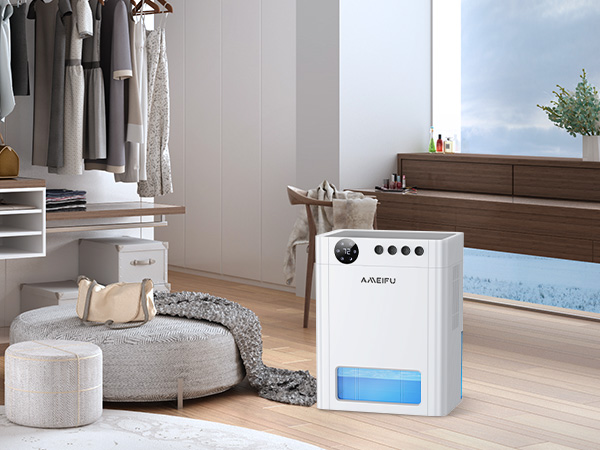 Dehumidifier