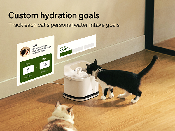 Multi Cats Water Fountain