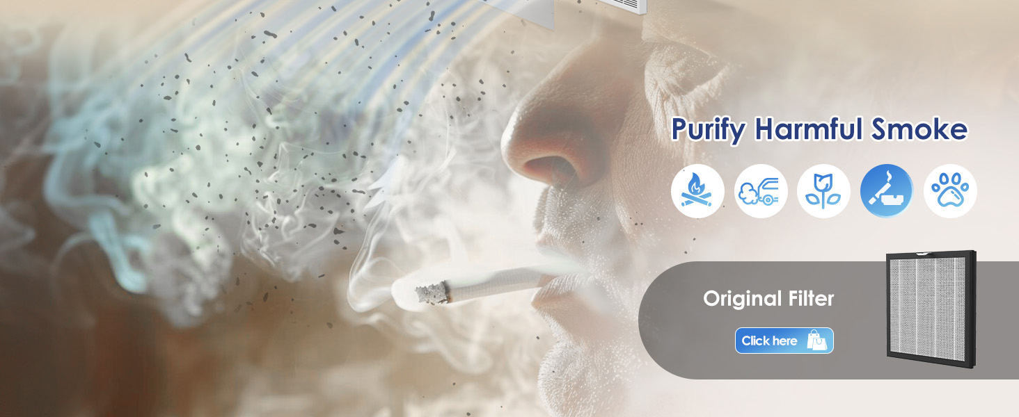 Air Purifiers for Home Large Room