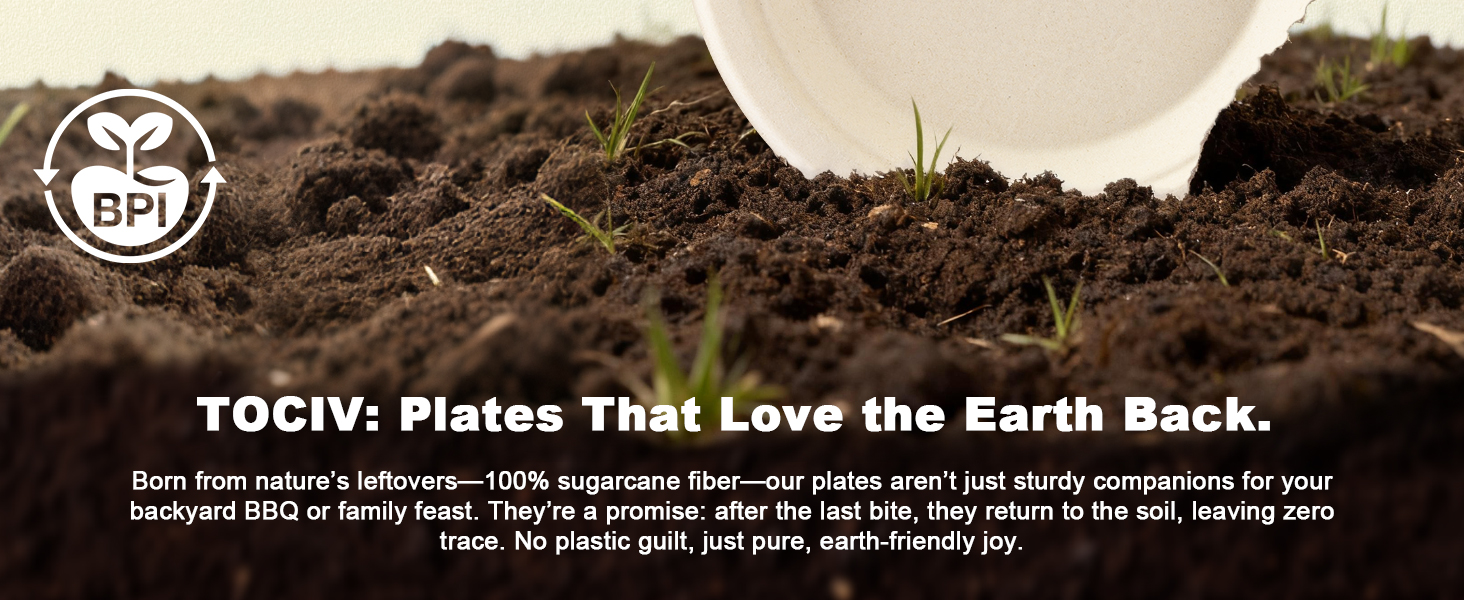 disposable paper plates 100% Compostable